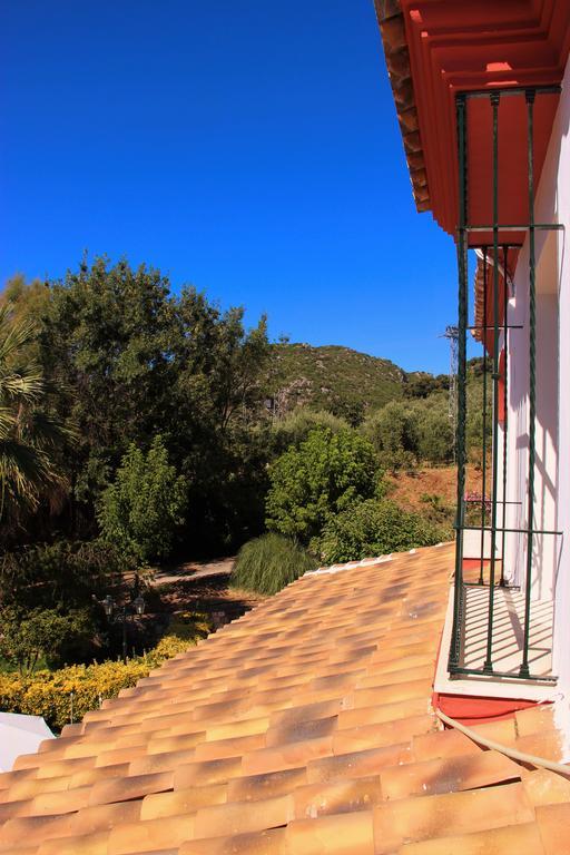 Hostal La Zamora Carcabuey Екстер'єр фото