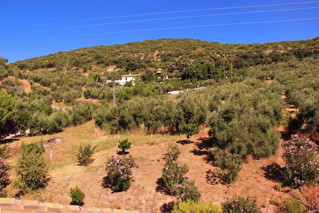 Hostal La Zamora Carcabuey Екстер'єр фото